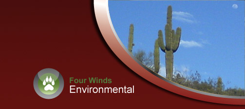 Four Winds Environmental